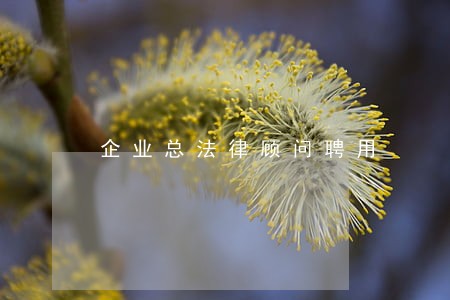 企业总法律顾问聘用 企业总法律顾问聘用