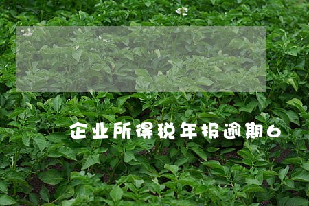 企业所得税年报逾期6 企业所得税年报逾期6