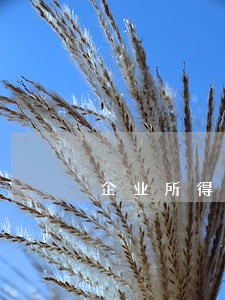 企业所得税逾期2天 企业所得税逾期2天