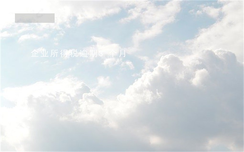 企业所得税逾期3个月 企业所得税逾期3个月