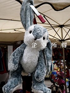 企业所得税逾期罚款6