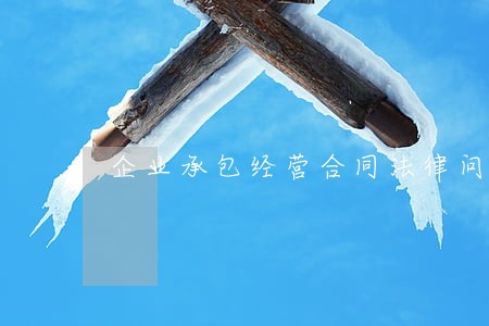 企业承包经营合同法律问题 企业承包经营合同法律问题