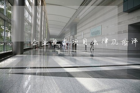 企业投资项目法律风险评估 企业投资项目法律风险评估