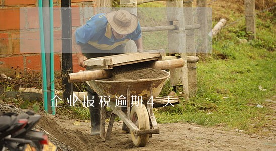 企业报税逾期4天