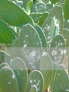 企业招聘审核信用卡逾期有关系吗 企业招聘审核信用卡逾期有关系吗