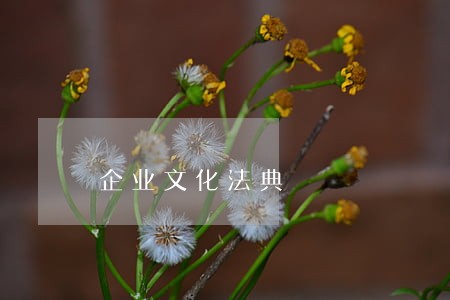 企业文化法典 企业文化法典