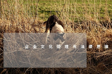 企业文化管理与法律思维的培养 企业文化管理与法律思维的培养