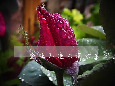 企业无违法记录在哪里开