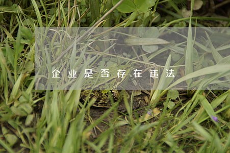企业是否存在违法 企业是否存在违法