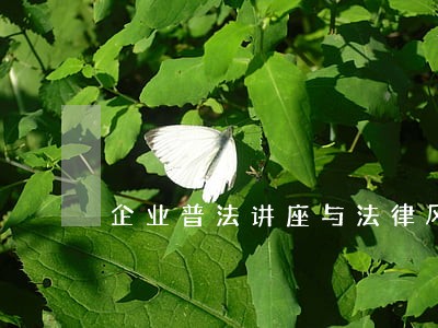 企业普法讲座与法律风险防范 企业普法讲座与法律风险防范