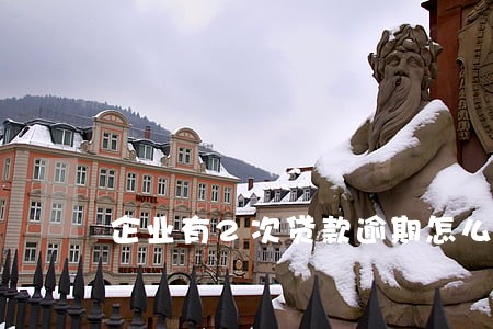 企业有2次贷款逾期怎么办