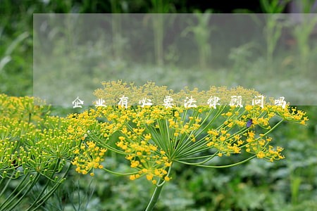 企业有必要法律顾问吗 企业有必要法律顾问吗