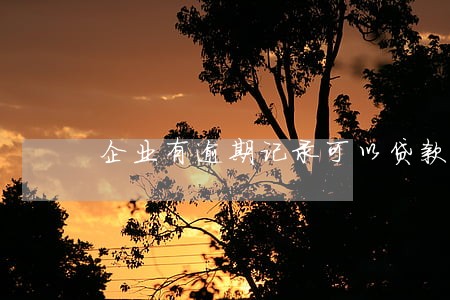 企业有逾期记录可以贷款吗 企业有逾期记录可以贷款吗
