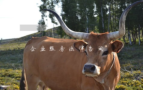 企业服务法律咨询 企业服务法律咨询