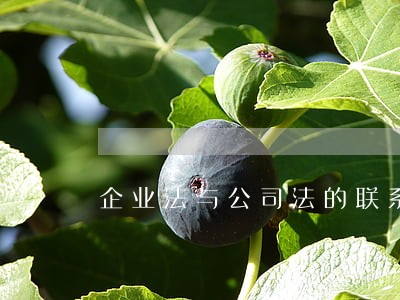 企业法与公司法的联系