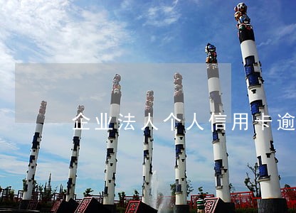 企业法人个人信用卡逾期 企业法人个人信用卡逾期