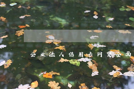 企业法人信用卡网贷全面逾期 企业法人信用卡网贷全面逾期
