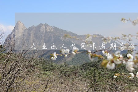 企业法人信用卡逾期有什么影响 企业法人信用卡逾期有什么影响