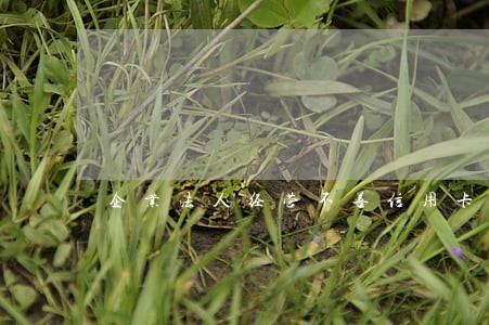 企业法人经营不善信用卡逾期