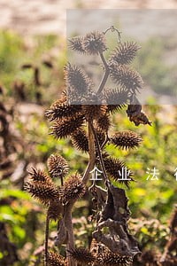企业法律内训公开课 企业法律内训公开课