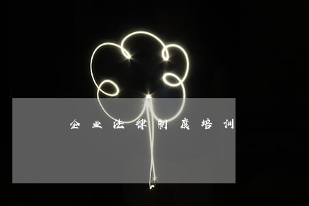 企业法律制度培训 企业法律制度培训