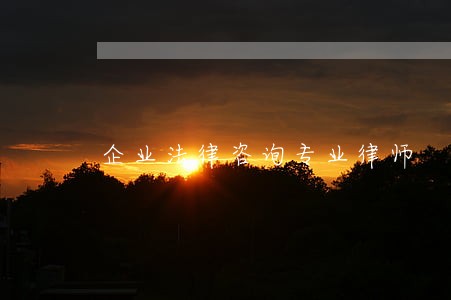 企业法律咨询专业律师 企业法律咨询专业律师