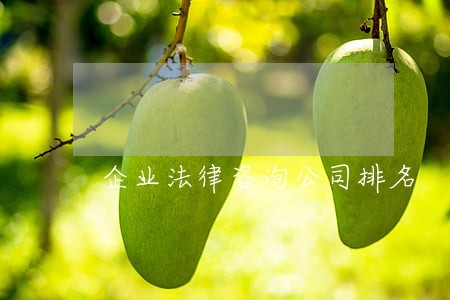 企业法律咨询公司排名 企业法律咨询公司排名