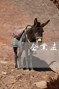 企业法律咨询去哪家 企业法律咨询去哪家