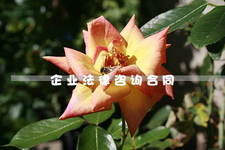 企业法律咨询合同 企业法律咨询合同