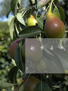 企业法律咨询收费多少 企业法律咨询收费多少