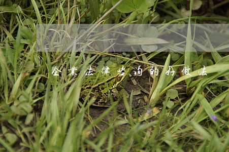 企业法律咨询的好做法 企业法律咨询的好做法