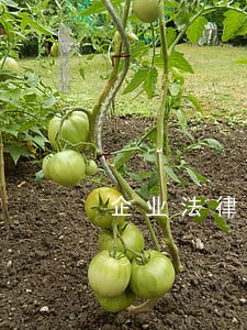 企业法律咨询经营范围 企业法律咨询经营范围