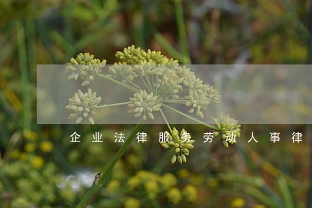 企业法律服务劳动人事律师 企业法律服务劳动人事律师