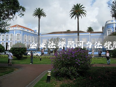 企业法律顾问与法律服务 企业法律顾问与法律服务