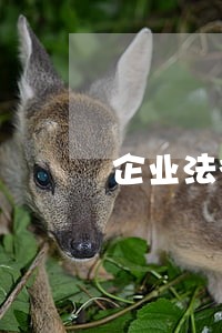 企业法律顾问专业律师价格