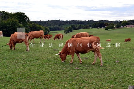 企业法律顾问业务攻略