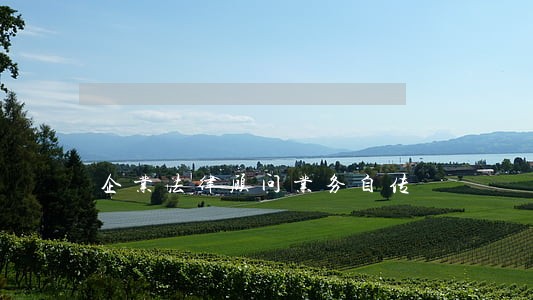企业法律顾问业务自传 企业法律顾问业务自传
