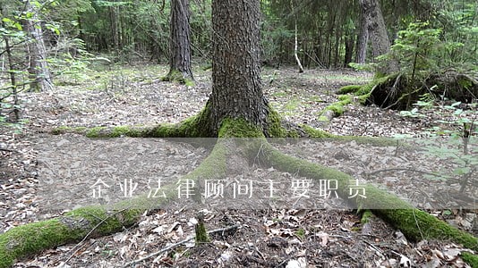 企业法律顾问主要职责 企业法律顾问主要职责