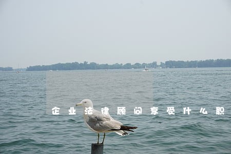 企业法律顾问享受什么职称待遇 企业法律顾问享受什么职称待遇