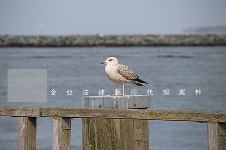 企业法律顾问代理案件 企业法律顾问代理案件