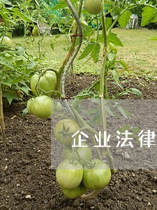 企业法律顾问价目表 企业法律顾问价目表