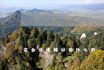企业法律顾问做什么的 企业法律顾问做什么的