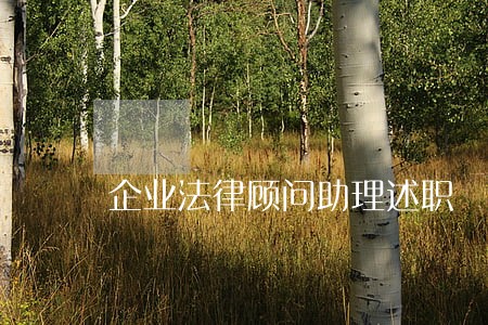 企业法律顾问助理述职 企业法律顾问助理述职