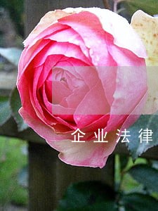 企业法律顾问原理与实务 企业法律顾问原理与实务