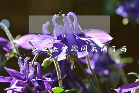 企业法律顾问取消了吗 企业法律顾问取消了吗