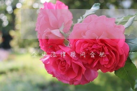 企业法律顾问合肥 企业法律顾问合肥