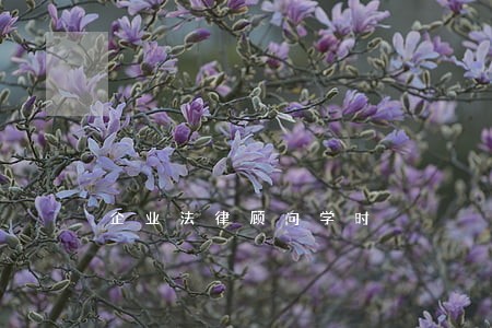 企业法律顾问学时 企业法律顾问学时