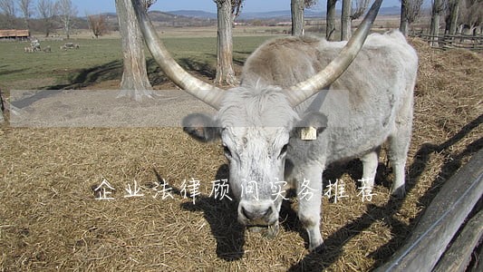 企业法律顾问实务推荐 企业法律顾问实务推荐