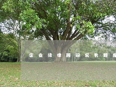企业法律顾问实务题库 企业法律顾问实务题库