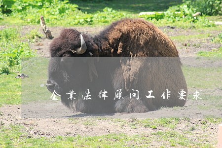 企业法律顾问工作要求 企业法律顾问工作要求